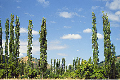 拍戏时滑进去了h：惊！演员水中戏份意外滑落，剧组紧急应对-1