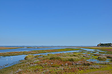 激情五月天婷婷丁香：五月丁香绽放，艺术盛宴来袭-2