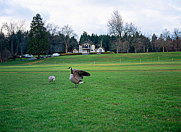 体育生黑袜自慰出精：校园风波：揭秘体育生隐私事件-2