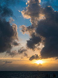 男女干逼软件：网络怪谈：揭秘“干逼软件”传播之谜-2