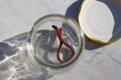 在卫生间啪女友闺蜜的小：闺蜜家中突发惊人事件，卫生间内惊人一幕！