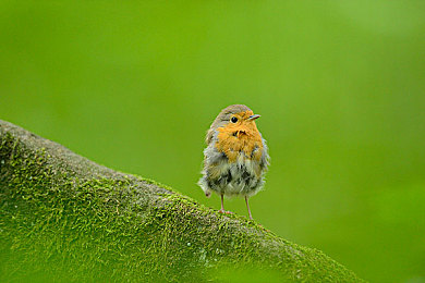 男人和女人一起差差app:社交新宠:轻松交友,快乐互动-2