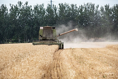 爽 好大 快 深一触手动漫:探秘爆款动漫,爽快剧情深挖人性-4