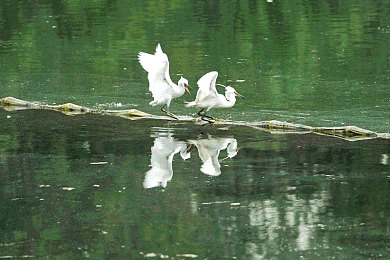 XXX公交车上的XXXXX：公交危急时刻，医生挺身救人引网友点赞