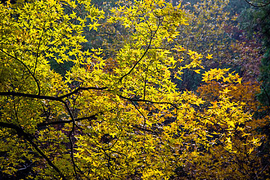 李师师的三港版1986：青春旋律唤醒回忆，经典再现引共鸣-3