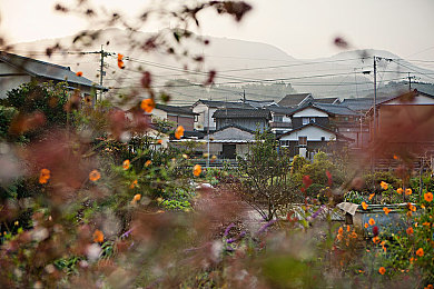 无尽 得到 向上 可爱 得到 动漫：动漫新星《无尽得到》，温暖心灵之旅-4