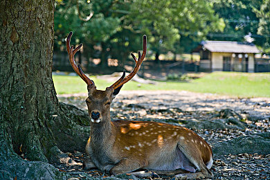 老太婆扒开让我添她下面：白发苍苍遭暴行，人性沦丧引深思-4