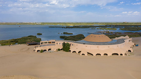 缅甸恐怖网站www免费下载:神秘恐怖网站现踪迹,网络安全警钟再敲响-1