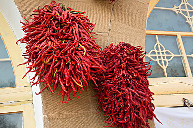 污的app:趣味应用新潮流,轻松减压好帮手-1