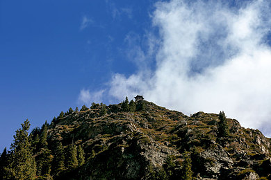 浓毛大泬近距离特写：潮流新宠：浓毛大泬，独特魅力一触即发-1