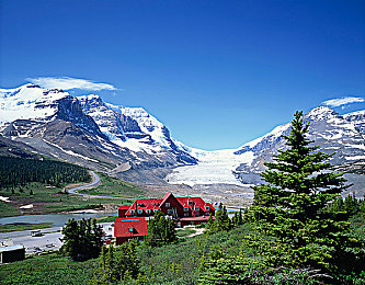 深夜黄色：夜色中那抹温暖的黄，点亮归途-2