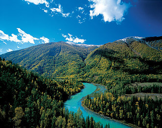 黄色应用app下载：手机新宠：便捷应用下载量飙升-2