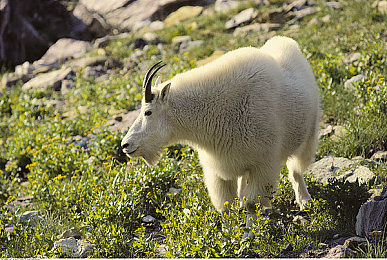 每日大赛 校园大赛 反差大赛：校园盛宴：三大大赛展学子风采-2