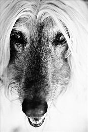 俄罗斯女超人满天星版电视剧：女超人满天星：勇敢追梦，点燃奇幻宇宙-2