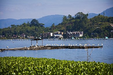 女留学生被黑人玩到翻白眼:留学生遭遇不尊重,校园安全引关注-2