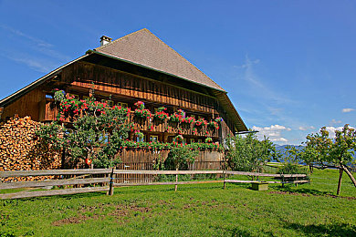 可以看美女裸体的软件：奇幻世界探秘，游戏美女裸体互动-3