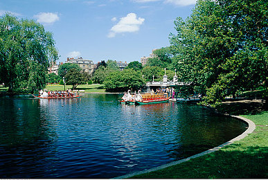 老人玩小处雌女hd另类侏儒：公园奇观：老人新潮娱乐引关注-2