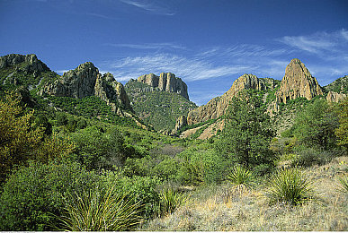 男生女生一起差差差免费软件:情侣互动新选择,休闲竞技游戏走红-1