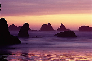 含羞草免费 成人网站-2