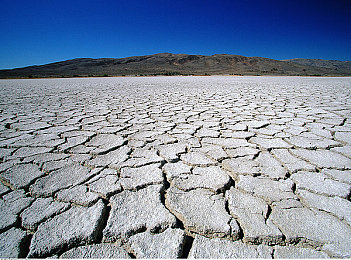 动漫男同♂被 到爽了流：手游新宠，动漫冒险世界等你探索