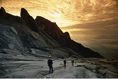 ova拯救精灵森林：奇幻森林冒险来袭，拯救之旅等你开启-2