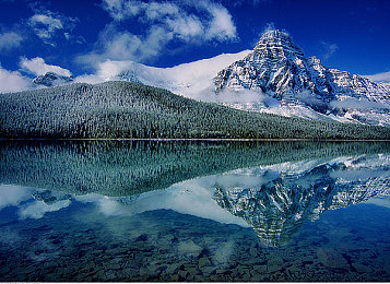 我为人人2048jdj：解压新宠，趣味2048，挑战无限！-3