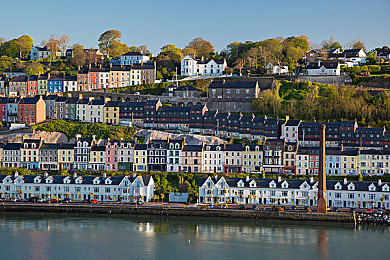 国产寡妇乱子伦：寡妇爱情：新时代的勇敢追求-2