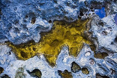 男生和女生日逼软件：社交新纪元，这款软件打破性别界限-2