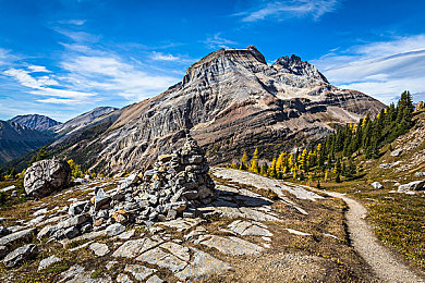 肌肉 壮汉 榨 浓 喷：健身达人新技能，肌肉榨浓喷引关注-2