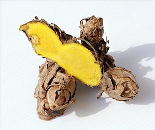 t55.44C陈冠希与陈慧琳：明星跨界联手，手游新体验来袭-3