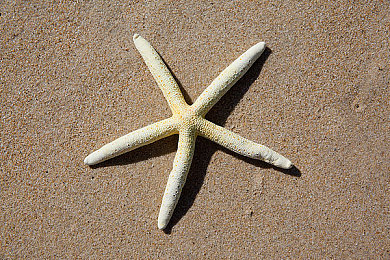 天天日天天添:经济新活力,民生大改善,政策大揭秘-2