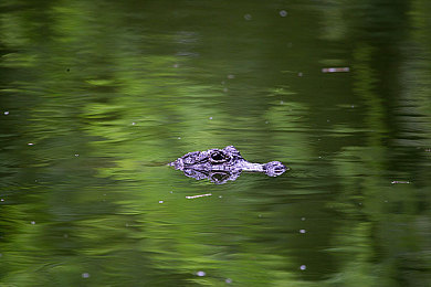 被按摩师摸到高潮A片:按摩中心惊现不雅视频,行业规范引关注-2