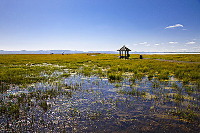 男生和女生一起差差差很痛的App：情侣互动神器，情感升温秘籍揭晓