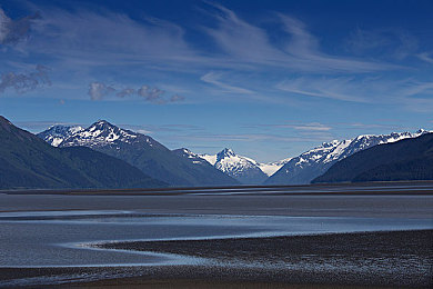 推特中国版r8：推特中国版亮相，全新社交体验引期待-3