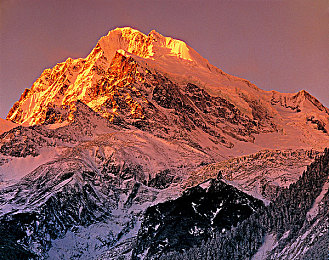 四川BBB桑BBB桑BBB：家居新贵崛起，环保家居领航者-2