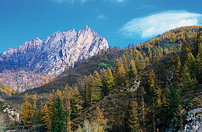 男体育生洗澡 秘：揭秘！男体育生洗澡秘籍，恢复肌肉疲劳！-2