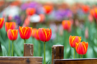 女人被黑人灌满精子：夜总会悲剧：女子遭遇灌精惊魂