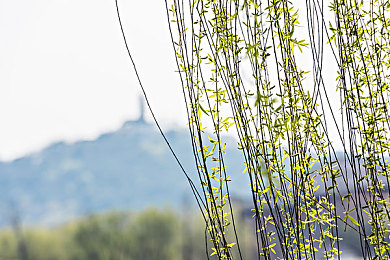 校草公交车被多人伦：校草公交遭骚扰，校园暴力引关注-3