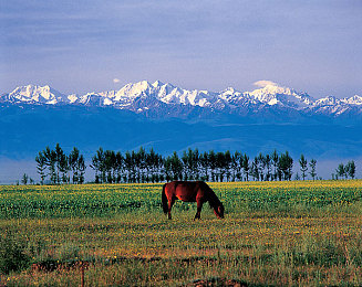 色黄软件大全:软件宝库揭秘:一网打尽生活所需-3