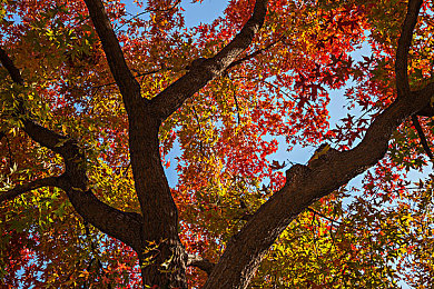 男按摩师添我做爰全过程:男按摩师“神秘触碰”,顾客体验大不同-1