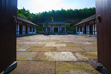 俄罗斯牛or猪or狗：三足鼎立！神秘竞技场激战正酣