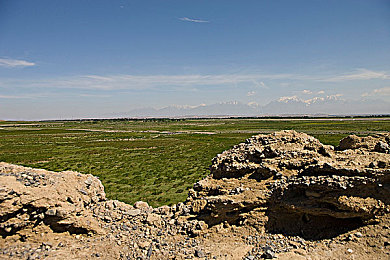 男生女生打扑克又叫又疼的软件：扑克新玩法，互动乐趣多-2