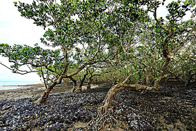 国产美女被草:写真集惊艳曝光,国产美女展现自然魅力-2