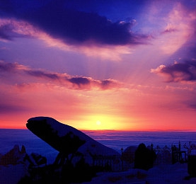 美女的坤坤：网络女神小坤：颜值才华公益三合一-2