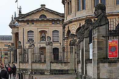 五月丁香六月婷婷色：五月丁香绽放，六月月季盛放-3