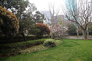 脚脚是jiojio51：网络昵称爆红，网友：“脚脚”变“jiojio51”-2