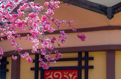 唐三抽曲比比东不亦乐乎NBA：篮球新星唐三闪耀NBA，赛场传奇再续-2