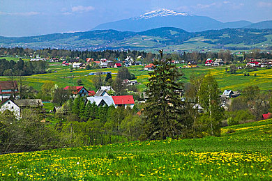 羽毛挠尿孔有多痒：《痒痒冒险》挑战：忍笑挠尿孔，你敢来吗？-2