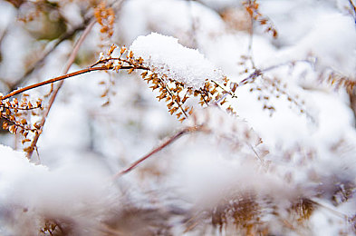 成熟少妇69XX：少妇摄影师：生活强者，镜头下的阳光故事-4