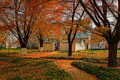 姬小满奖励别的男英雄：神秘奖励引热议，姬小满举动成谜-2